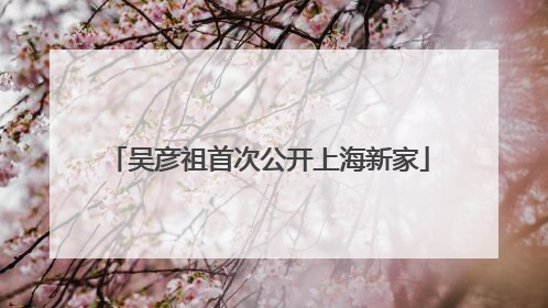 吴彦祖首次公开上海新家