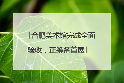 合肥美术馆完成全面验收，正筹备首展