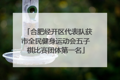 合肥经开区代表队获市全民健身运动会五子棋比赛团体第一名