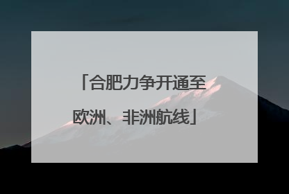 合肥力争开通至欧洲、非洲航线