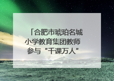 合肥市琥珀名城小学教育集团教师参与“千课万人”数学论坛活动