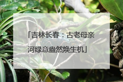 吉林长春：古老母亲河绿意盎然焕生机