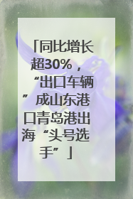 同比增长超30%，“出口车辆”成山东港口青岛港出海“头号选手”