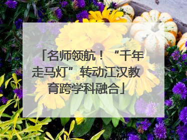名师领航！“千年走马灯”转动江汉教育跨学科融合