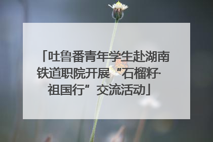 吐鲁番青年学生赴湖南铁道职院开展“石榴籽·祖国行”交流活动