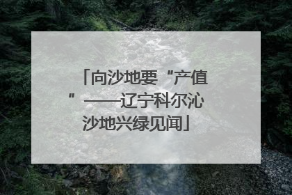 向沙地要“产值”——辽宁科尔沁沙地兴绿见闻