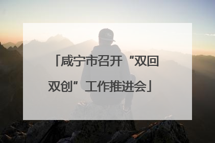 咸宁市召开“双回双创”工作推进会