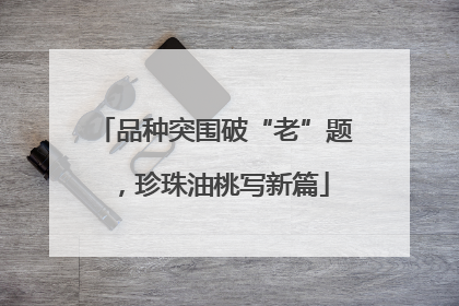 品种突围破“老”题，珍珠油桃写新篇