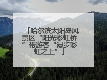 哈尔滨太阳岛风景区“阳光彩虹桥”带游客“漫步彩虹之上”
