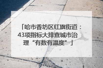 哈市香坊区红旗街道：43项指标大排查城市治理“有数有温度”