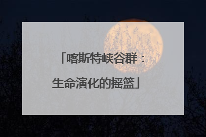 喀斯特峡谷群：生命演化的摇篮