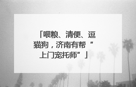 喂粮、清便、逗猫狗，济南有帮“上门宠托师”