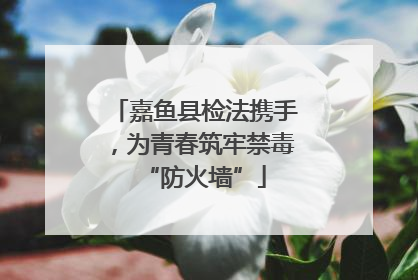 嘉鱼县检法携手，为青春筑牢禁毒“防火墙”