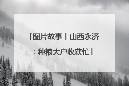 图片故事丨山西永济：种粮大户收获忙