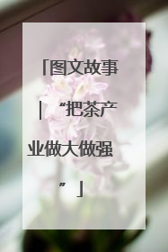 图文故事｜“把茶产业做大做强”