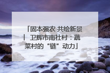 固本强农 共绘新景 ︳卫辉市南社村：蔬菜村的“链”动力
