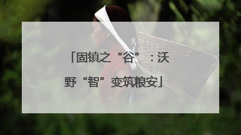 固镇之“谷”：沃野“智”变筑粮安