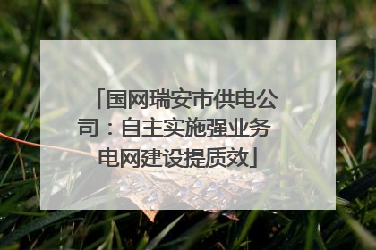 国网瑞安市供电公司：自主实施强业务 电网建设提质效