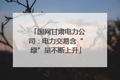 国网甘肃电力公司：电力交易含“绿”量不断上升