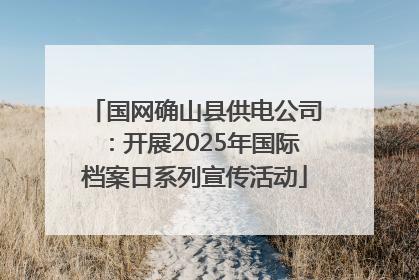 国网确山县供电公司：开展2025年国际档案日系列宣传活动