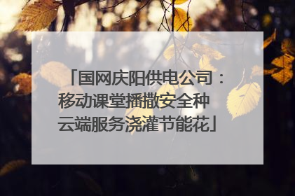 国网庆阳供电公司：移动课堂播撒安全种 云端服务浇灌节能花