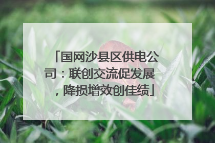 国网沙县区供电公司：联创交流促发展，降损增效创佳绩