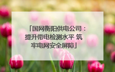 国网衡阳供电公司：提升带电检测水平 筑牢电网安全屏障