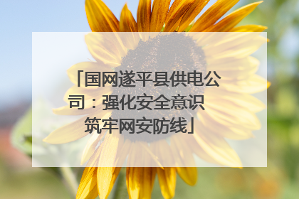 国网遂平县供电公司：强化安全意识 筑牢网安防线
