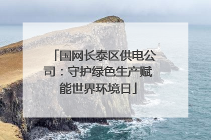 国网长泰区供电公司：守护绿色生产赋能世界环境日