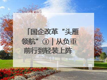 国企改革“头雁领航”③｜从负重前行到轻装上阵 重庆以“瘦身”谋“健体”