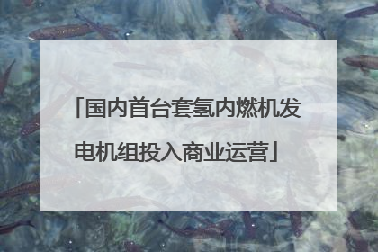 国内首台套氢内燃机发电机组投入商业运营