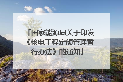 国家能源局关于印发《核电工程定额管理暂行办法》的通知