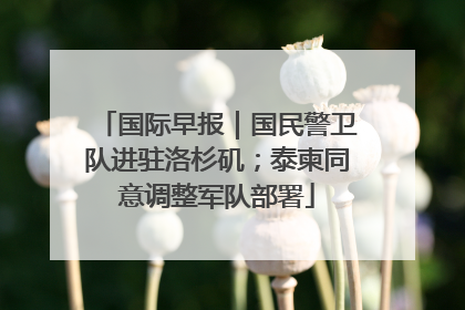 国际早报｜国民警卫队进驻洛杉矶；泰柬同意调整军队部署