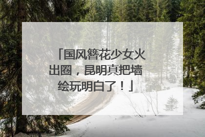 国风簪花少女火出圈，昆明真把墙绘玩明白了！