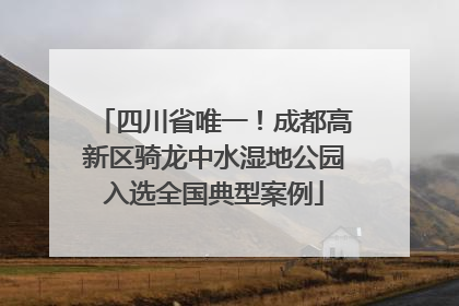 四川省唯一！成都高新区骑龙中水湿地公园入选全国典型案例