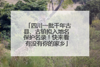 四川一批千年古县、古镇拟入地名保护名录！快来看有没有你的家乡