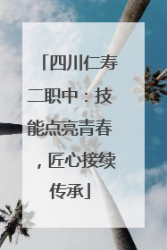 四川仁寿二职中：技能点亮青春，匠心接续传承