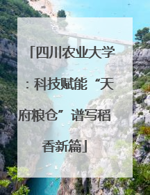 四川农业大学：科技赋能“天府粮仓”谱写稻香新篇