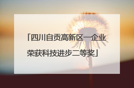 四川自贡高新区一企业荣获科技进步二等奖