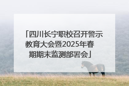 四川长宁职校召开警示教育大会暨2025年春期期末监测部署会