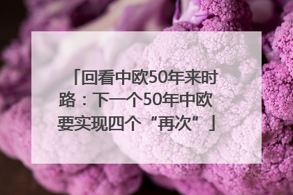 回看中欧50年来时路：下一个50年中欧要实现四个“再次”