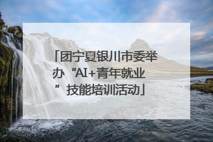 团宁夏银川市委举办“AI+青年就业”技能培训活动