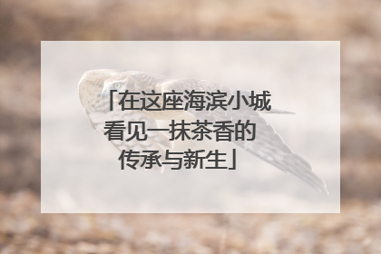 在这座海滨小城 看见一抹茶香的传承与新生