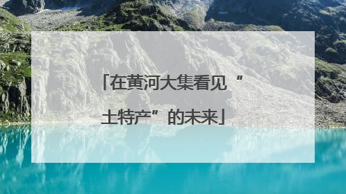 在黄河大集看见“土特产”的未来