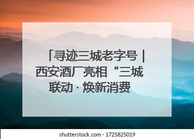 寻迹三城老字号｜西安酒厂亮相“三城联动 · 焕新消费”老字号嘉年华 共话品牌传承与创新
