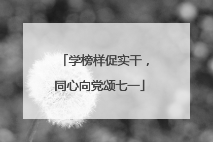 学榜样促实干，同心向党颂七一