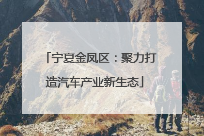 宁夏金凤区：聚力打造汽车产业新生态