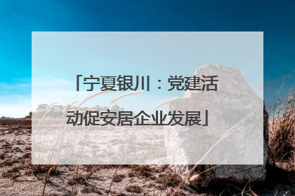 宁夏银川：党建活动促安居企业发展