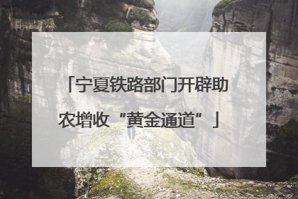 宁夏铁路部门开辟助农增收“黄金通道”