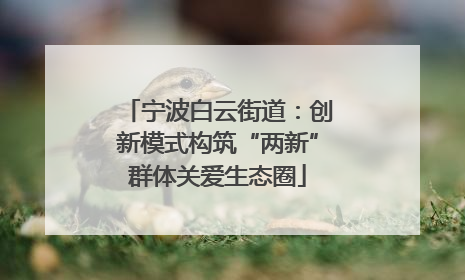 宁波白云街道：创新模式构筑“两新”群体关爱生态圈